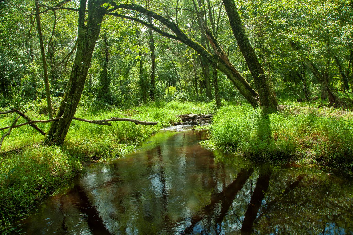 Victory for Clean Water